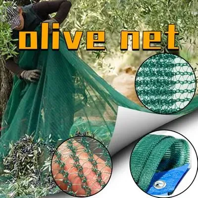 Lliain cynaeafu olewydd